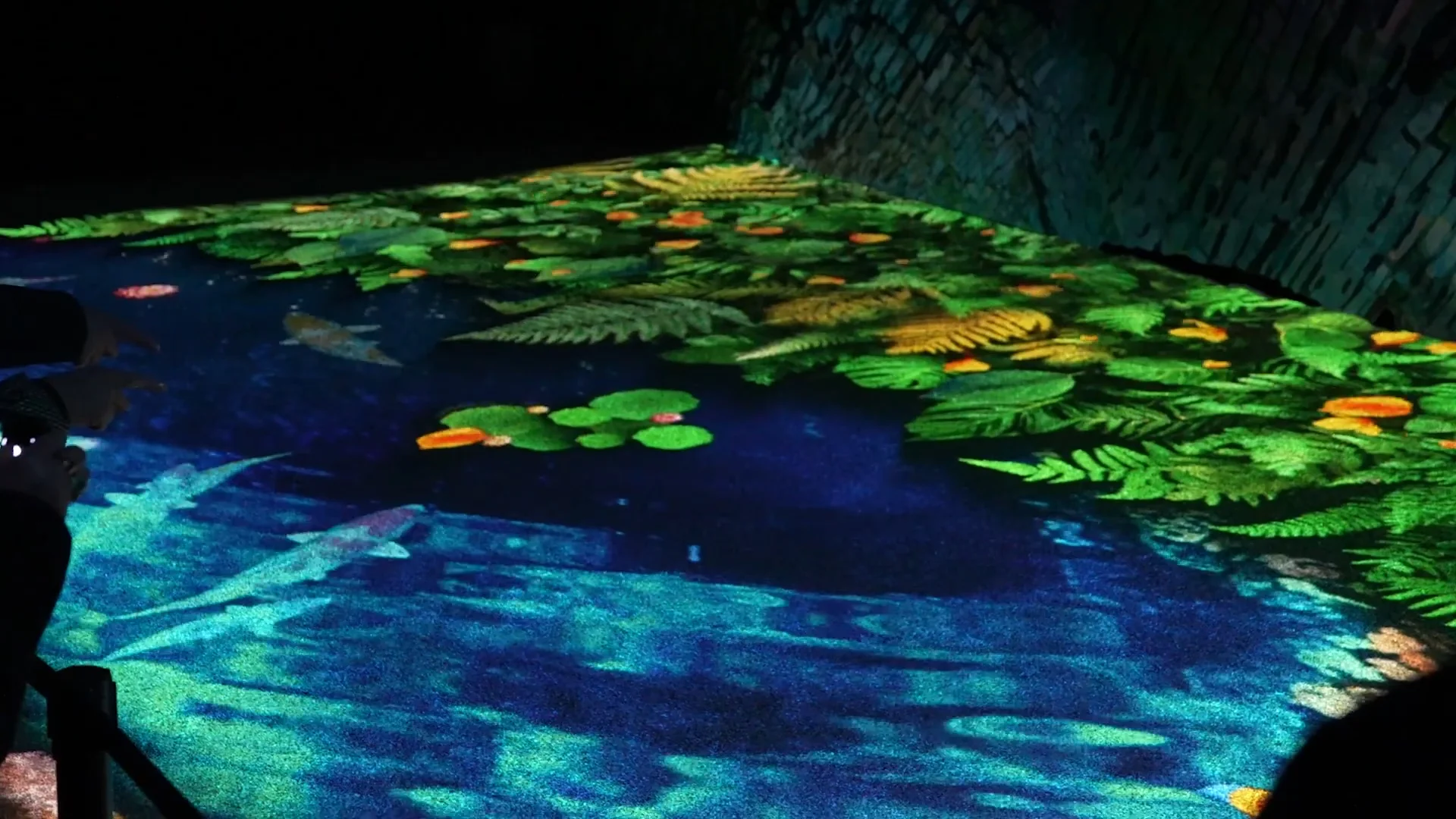 Parc des Oiseaux - Édition 1