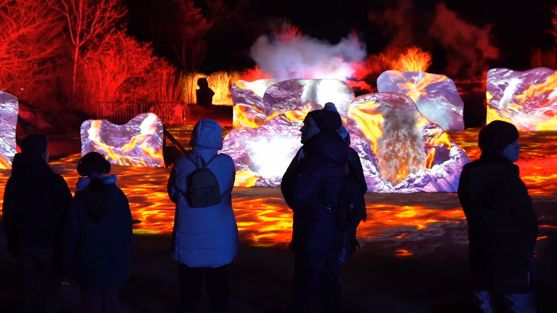 Parc des Oiseaux - Édition 1